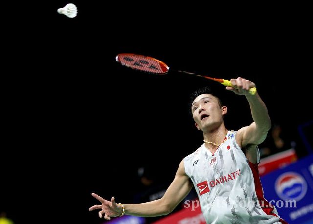 的想法无疑 的想法无疑