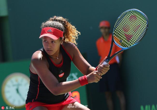 伸出橄榄枝 伸出橄榄枝