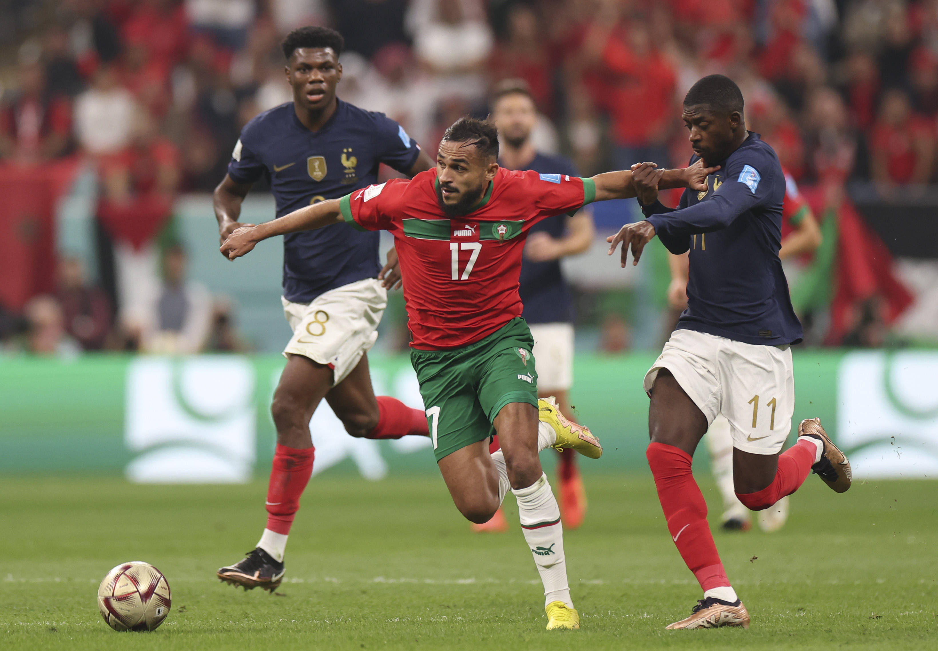 许永凯和陈 许永凯和陈